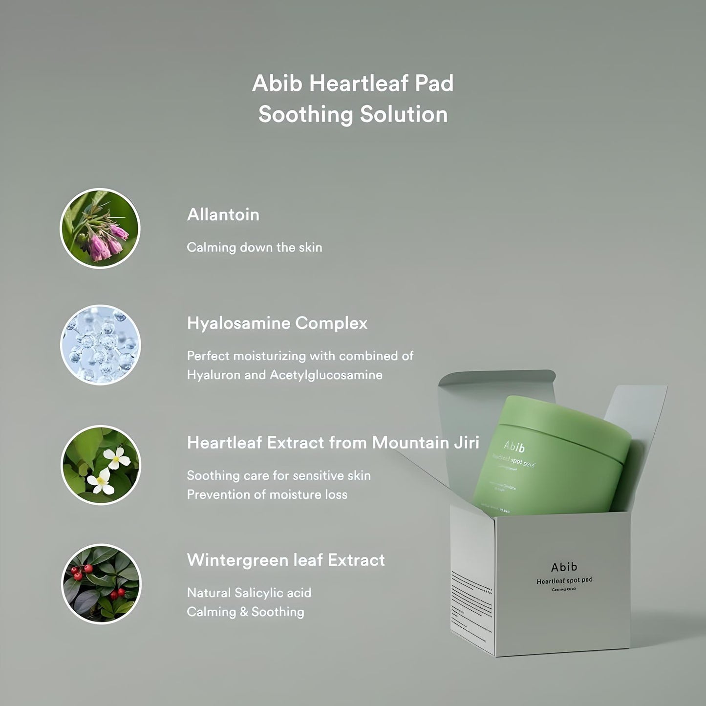 Abib Heartleaf Spot Pad Calming Touch (75 polštářků)